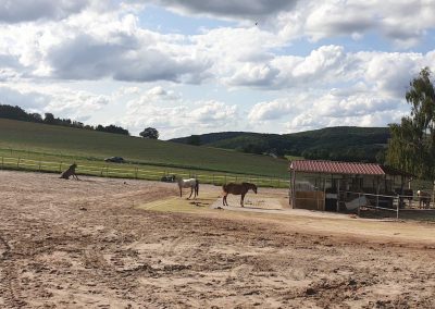 Aktivstall-Eiflerhof