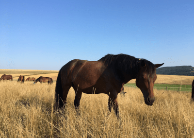 Bewegungsmöglichkeiten-768x576