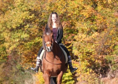 Einsteller Eiflerhof in Limbach