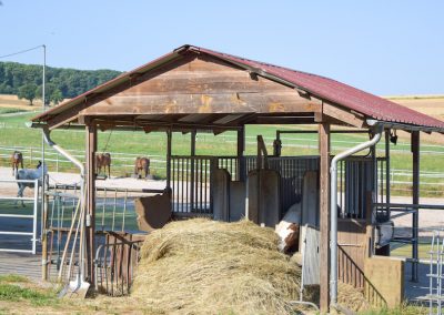 Heustation-Aktivstall Eiflerhof