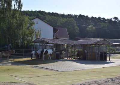 Heustation für die Pferde