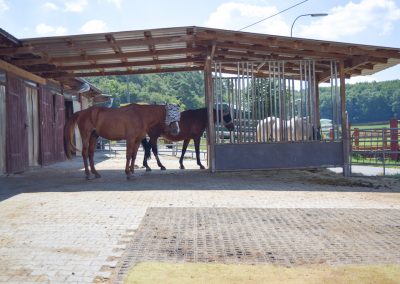 Heustation-im-Selektionsbereich