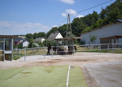 Heustation-im-Selektionsbereich 2 auf dem Eiflerhof