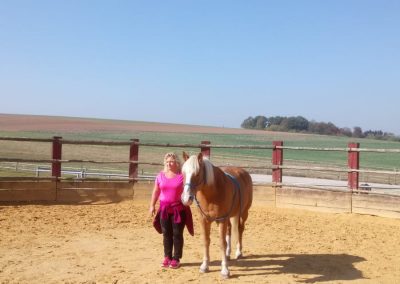 Pferd Mensch mit Heike Mohr