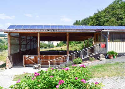 Reithalle-mit-Blumen-1