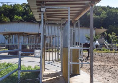 Selektionsraum-Aktivstall EIflerhof